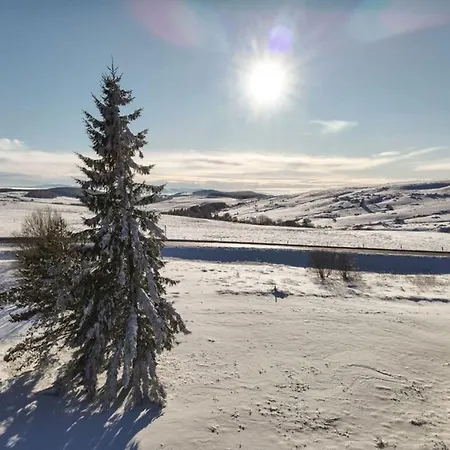 3 Au Coeur De Super Besse, Parking Prive - Fr-1-814-99 *